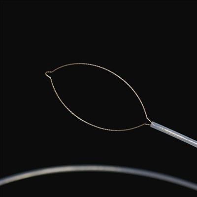 Urwasaya rwo kurwara umubiri wamahanga